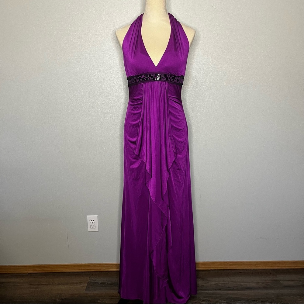 Adrianna Papell Boutique Maxi Gown Dress 10 Purple Halter Bead‎ Ruffle Formal